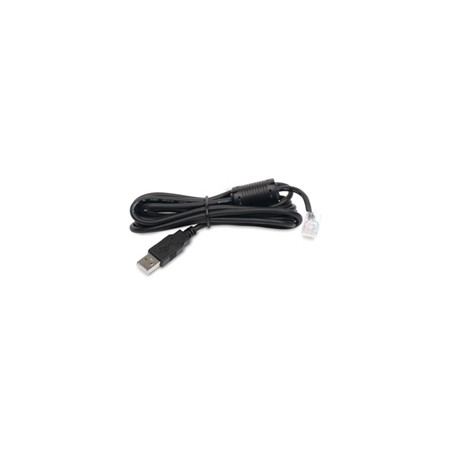 APC - Câble USB - USB (M) pour RJ-45 (10 broches) (M) - 1.8 m - noir - pour Back-UPS LS 500