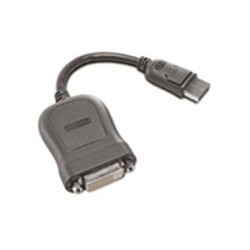 Lenovo - Câble DVI - liaison simple - DisplayPort (M) pour DVI-D (F) - 20 cm - gris - pour ThinkCentre M70, M720, M75, M80, M90