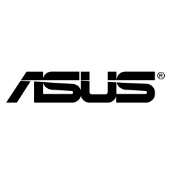ASUS P17 P1701EA-AU113R - Core i3 1115G4 / 3 GHz - 8 Go RAM 256 Go SSD - 17.3" 1920 x 1080 (Full HD) - UHD Graphics - Wi-Fi 5,